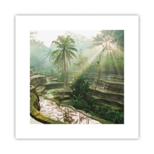 Plakat - Voksende op i solen - 30x30 cm