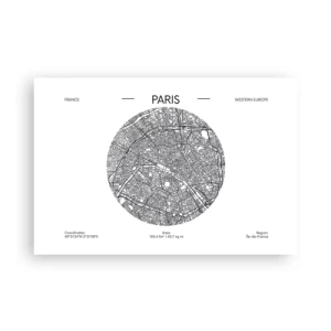 Plakat - Paris' anatomi - 91x61 cm