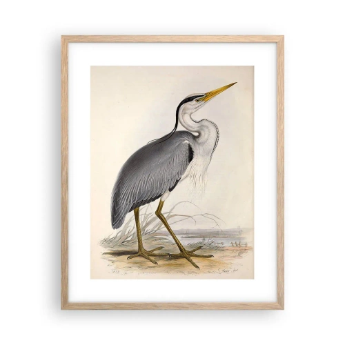 Plakat i ramme af lyst egetræ - Fiskehejre-charme - 40x50 cm