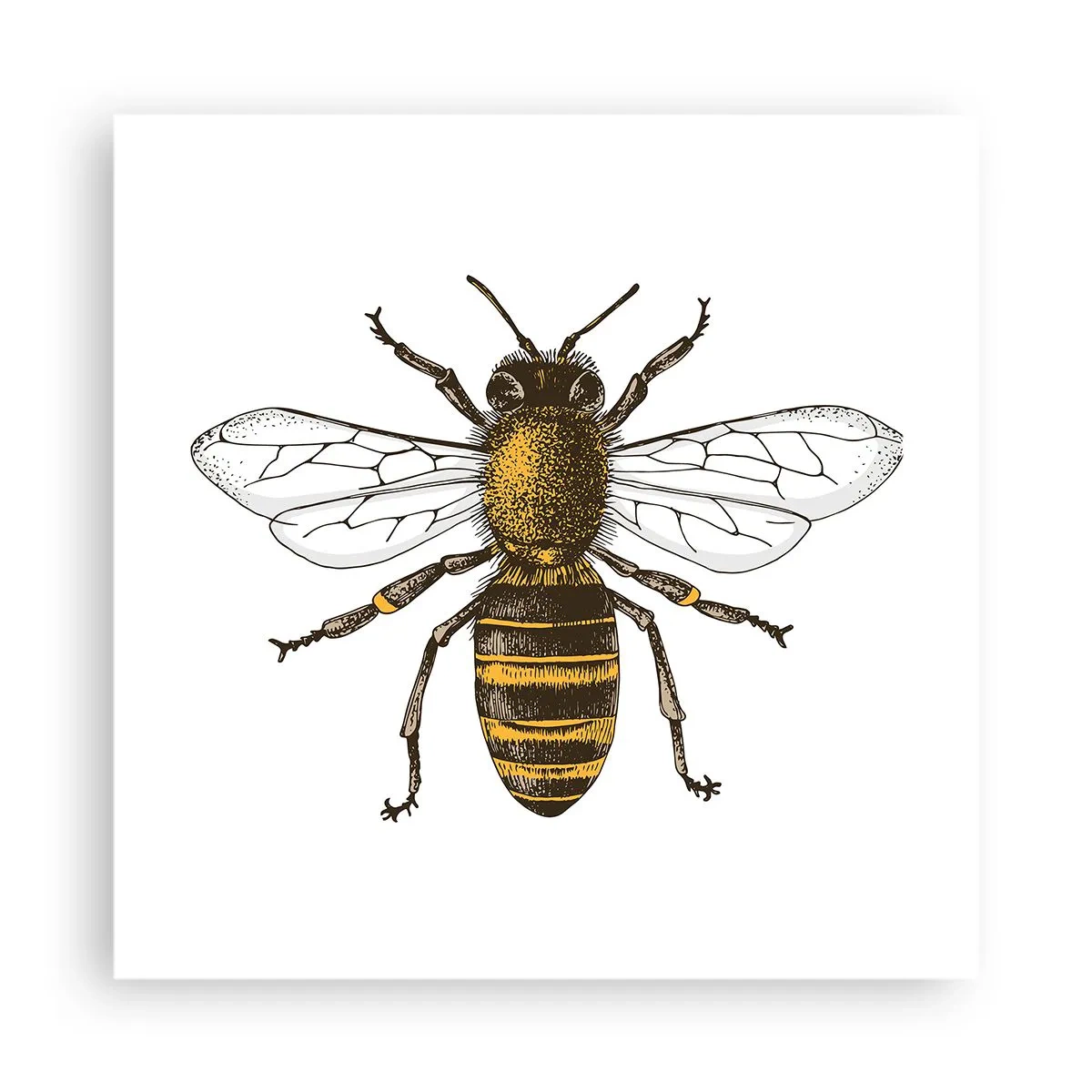 Plakat - Smuk og god - 40x40 cm