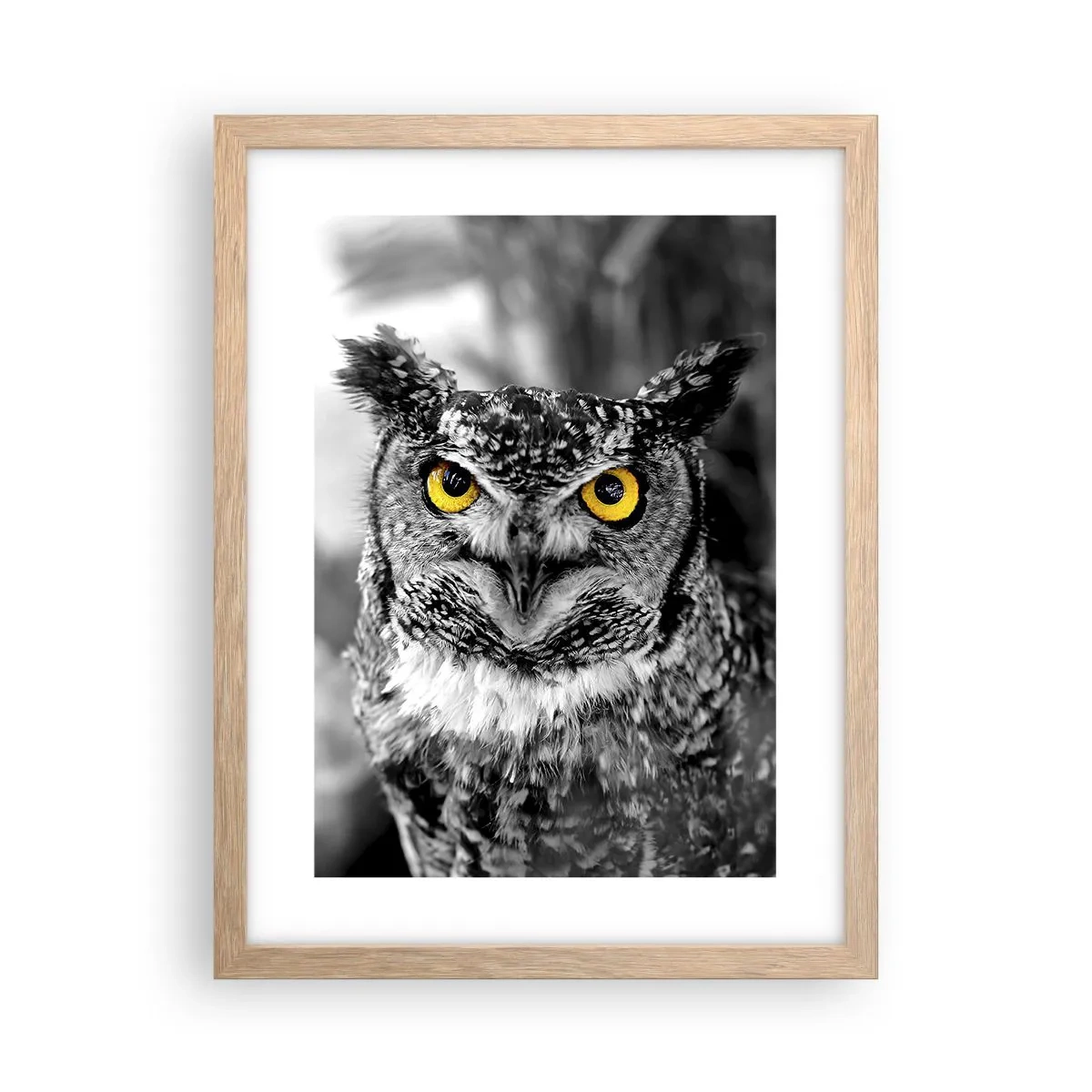 Plakat i ramme af lyst egetræ - Intet kan skjules - 30x40 cm