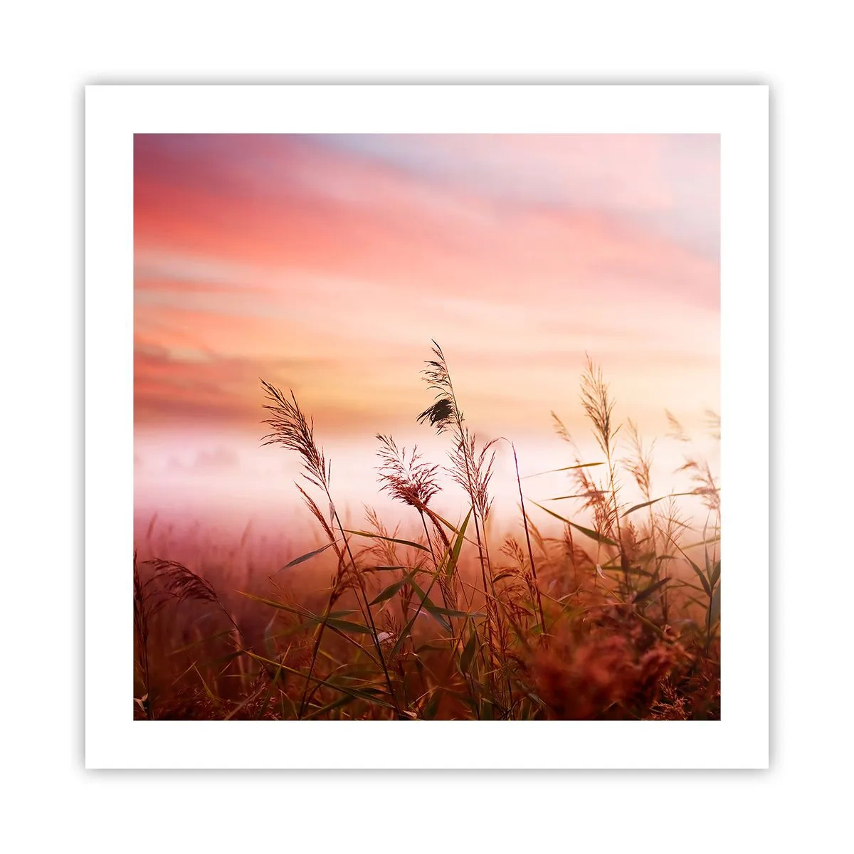 Plakat - Drager, blæsere, vind - 50x50 cm