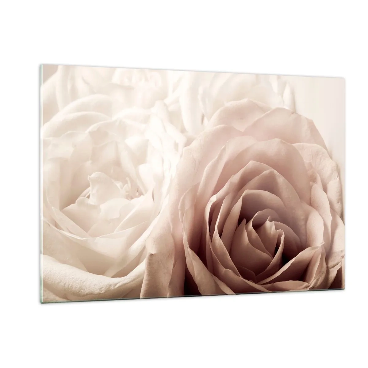 Billede på glas - I rosens hjerte - 120x80 cm