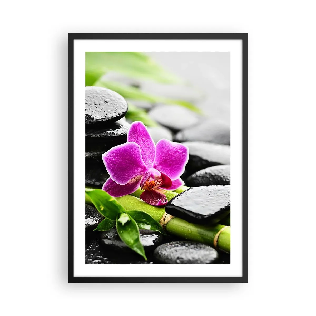 Plakat i sort ramme - Lilla orkidé på våde sten og grønne blade - 50x70cm - I en fredelig balance - Moderne vægdekoration til stue og soveværelse ARTTOR
