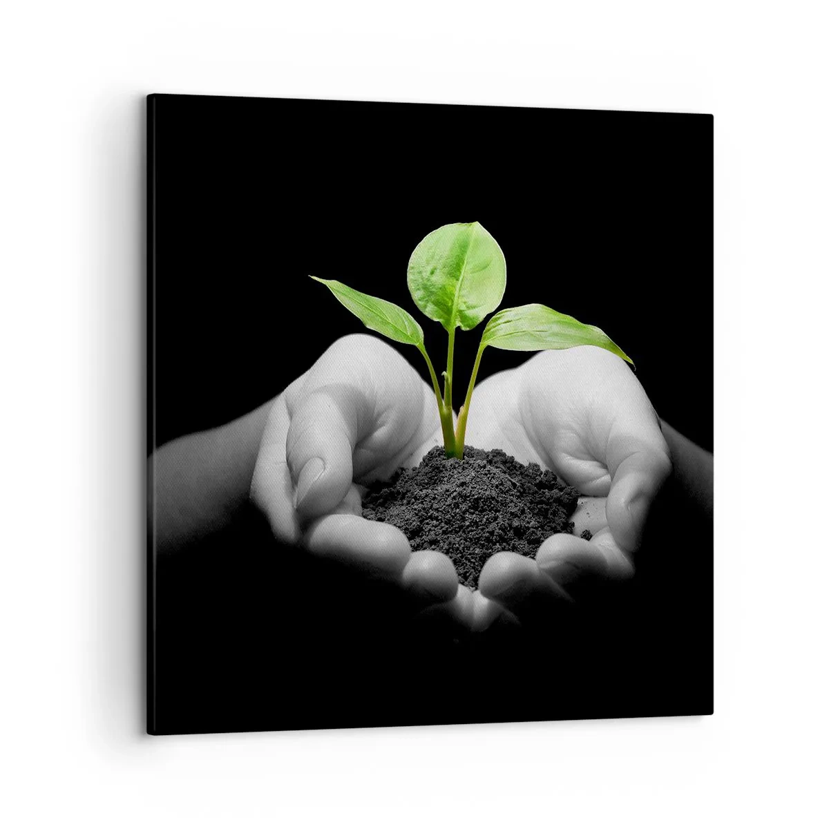 Lærredstryk - Billede på lærred - Jeg elsker naturen, jeg beskytter den - 50x50 cm