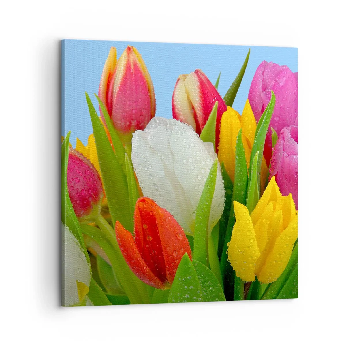 Lærredstryk - Billede på lærred - En blomstret regnbue i dugdråber - 60x60 cm