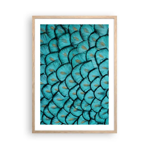 Plakat i ramme af lyst egetræ - Den store fjer-galla - 50x70 cm