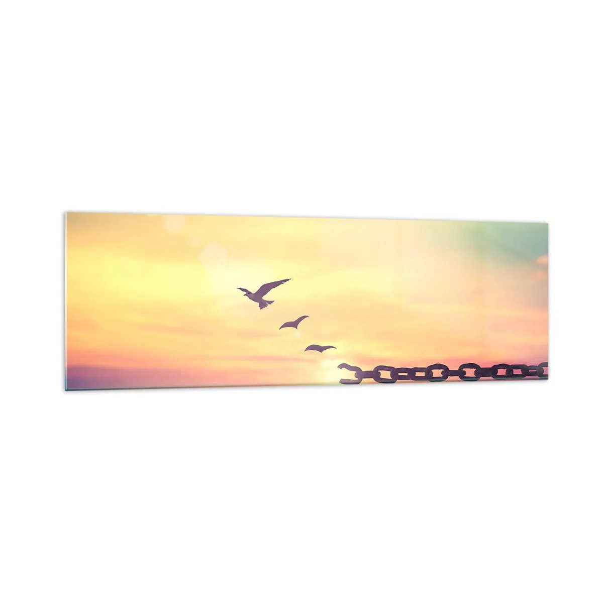 Billede på glas - Sejr for frihed - 160x50 cm