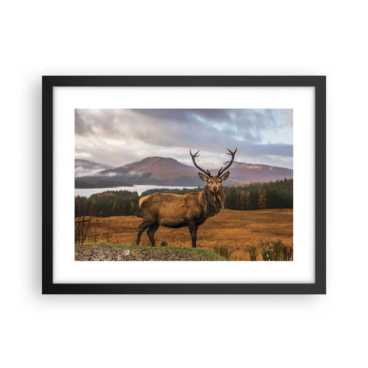 Plakat i sort ramme - Naturens majestæt - 40x30 cm