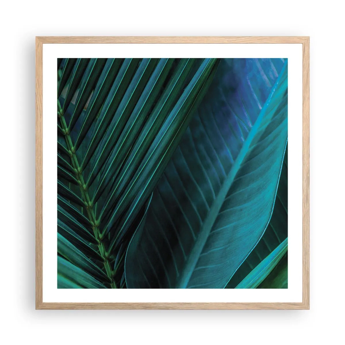 Plakat i ramme af lyst egetræ - Anatomi af en grøn - 60x60 cm