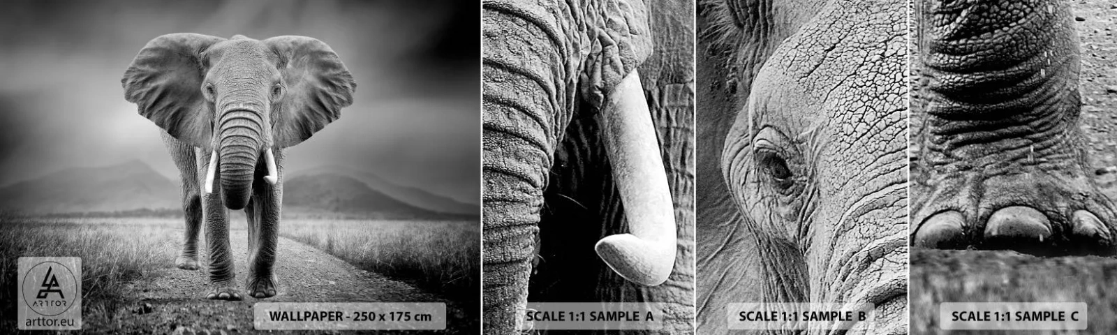 Fototapet Prøve Standard Eco - Værten byder velkommen til - Elefant, Dyr, Landskab - 100x30 cm