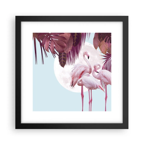Plakat i sort ramme - Tre fugles ynde - 30x30 cm