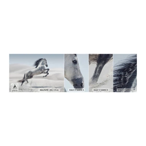 Prøve Fototapet Selvklæbende Deluxe Sticker - Arabisk prins - Dyr, Hest, Hest galoperende - 100x30 cm