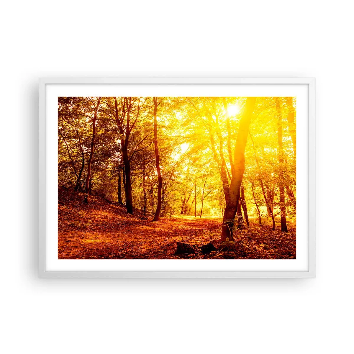 Plakat i hvid ramme - Til den gyldne lysning - 70x50 cm