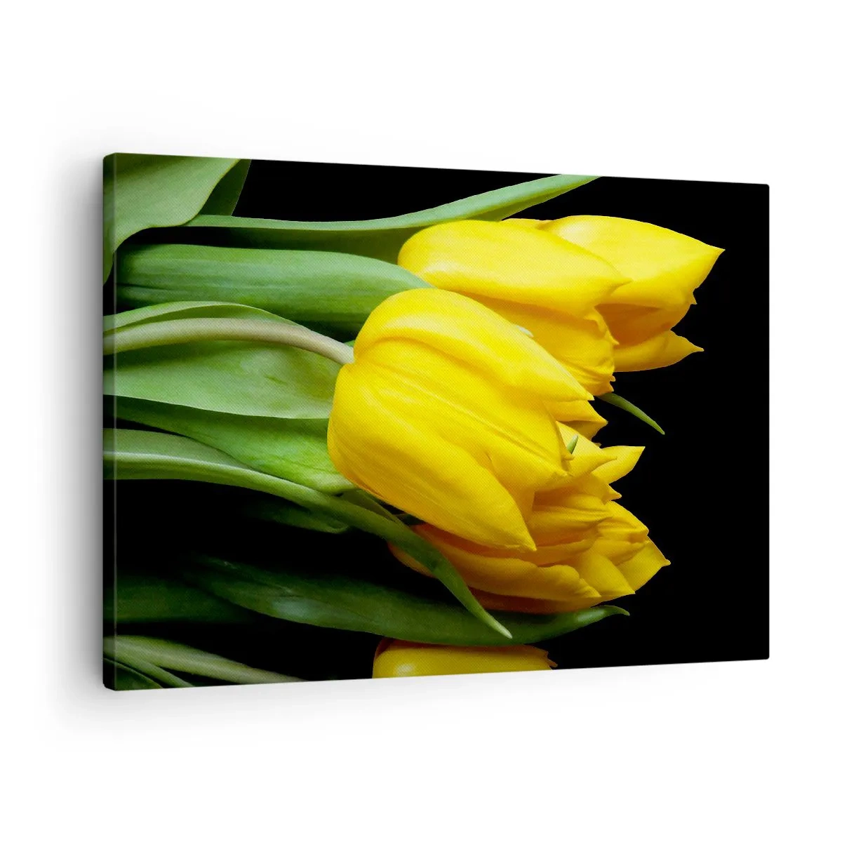 Lærredstryk - Billede på lærred - En buket gule tulipaner på en sort baggrund - 70x50cm - Opstå fra den rene sol - Moderne vægdekoration til stue og soveværelse ARTTOR