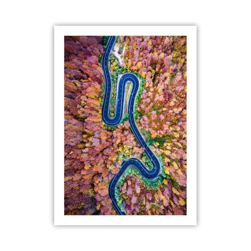 Plakat - En snoet vej gennem skoven - 50x70 cm