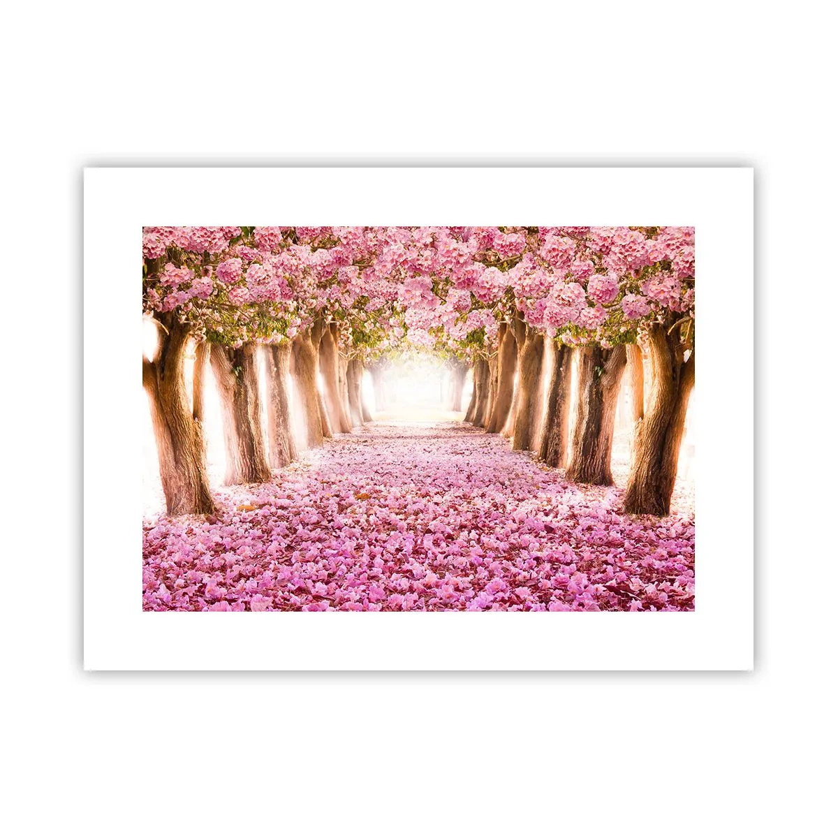 Plakat - Vejen til paradis - 40x30 cm