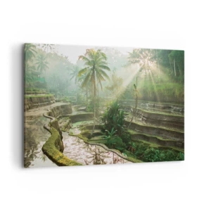 Lærredstryk - Billede på lærred - Voksende op i solen - 120x80 cm