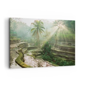 Lærredstryk - Billede på lærred - Voksende op i solen - 100x70 cm