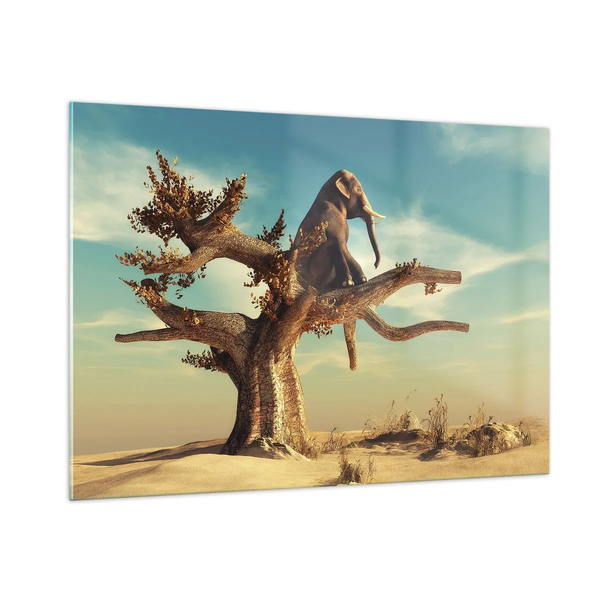 Billede på glas - Et nyt synspunkt - 100x70 cm