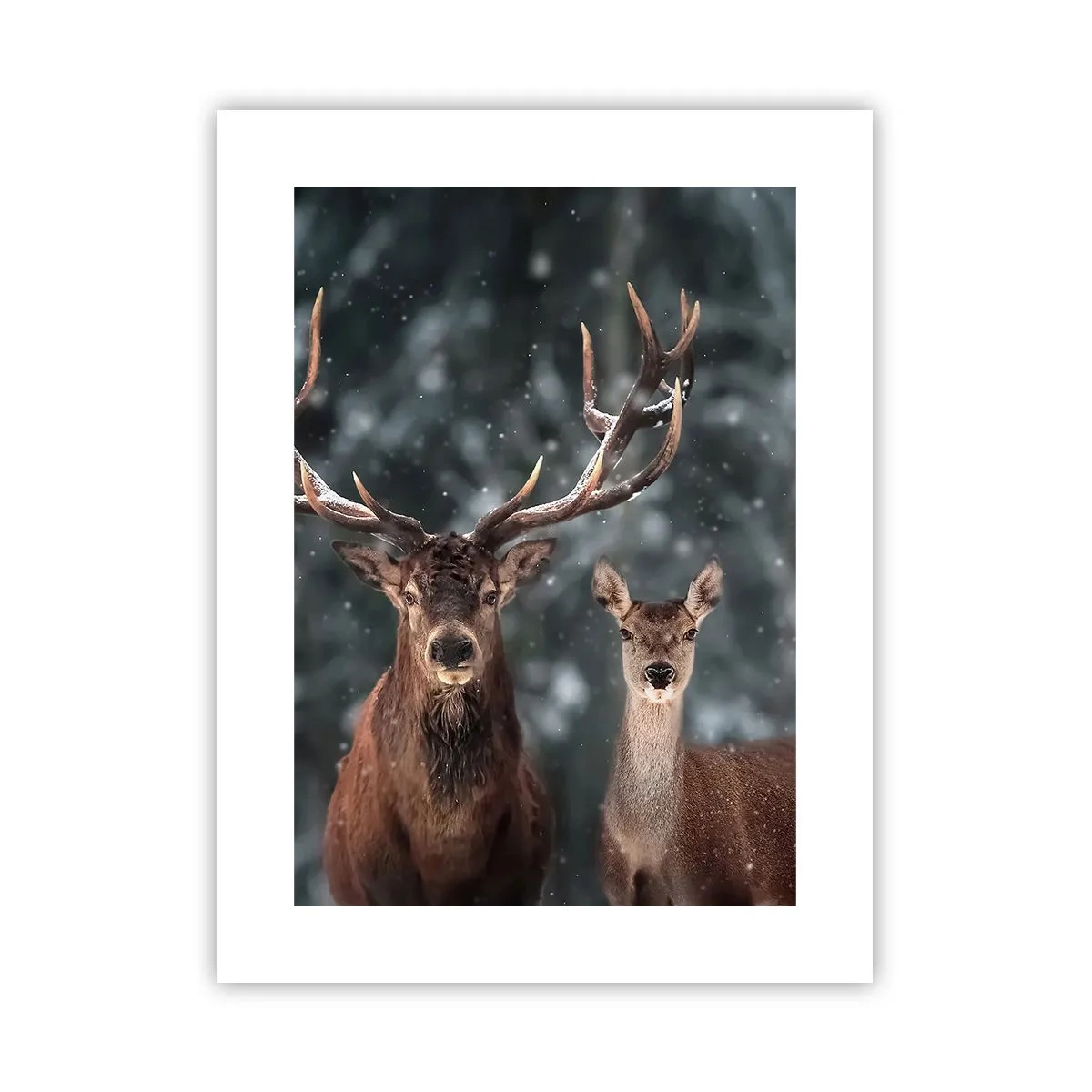 Plakat - Skovens herre og hans kone - 30x40 cm