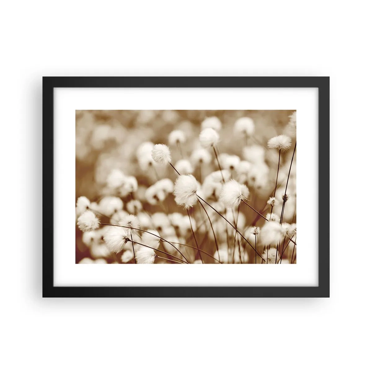 Plakat i sort ramme - Fyldig mark - 40x30 cm