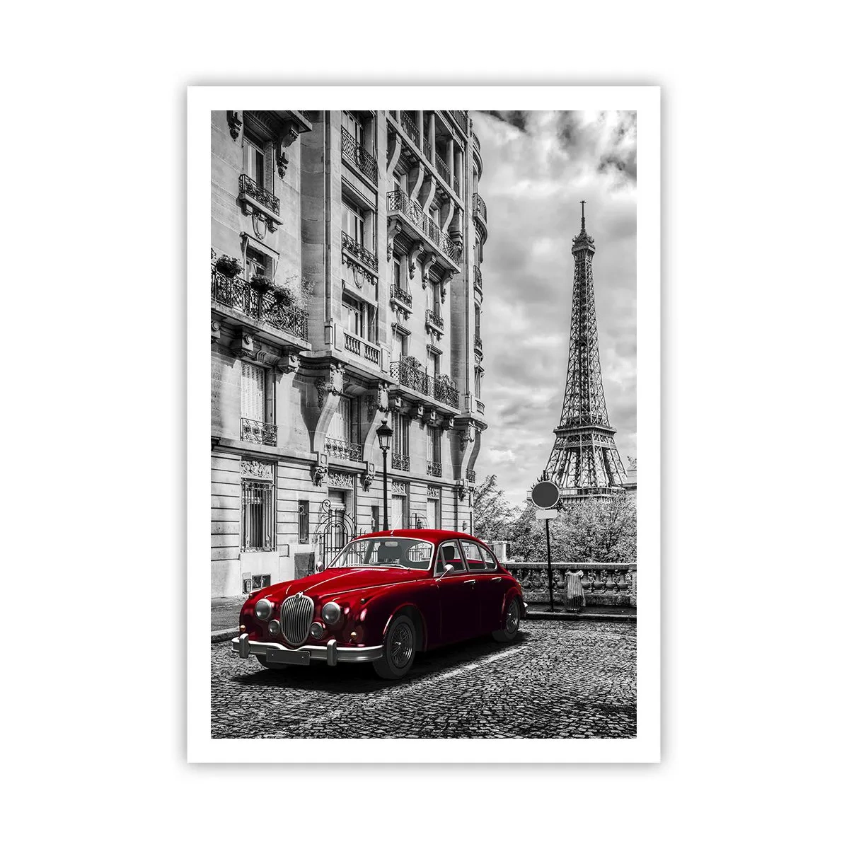 Plakat - Rovdyr i byen - 70x100 cm