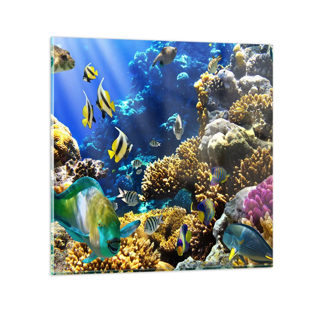 Billede på glas - Tung trafik på feriestien - 40x40 cm