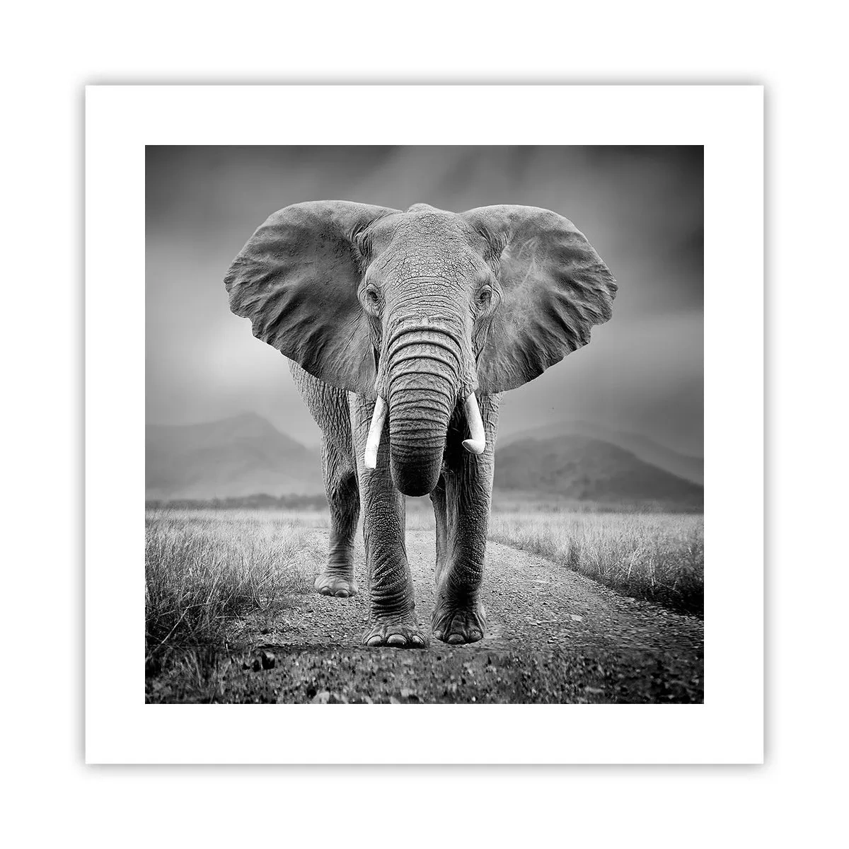 Plakat - Værten byder velkommen til - 40x40 cm