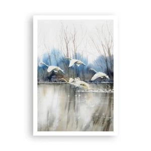 Plakat - Som i en fortælling om vilde svaner - 70x100 cm