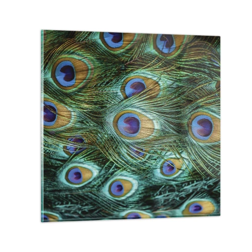 Billede på glas - En påfugls blik - 30x30 cm
