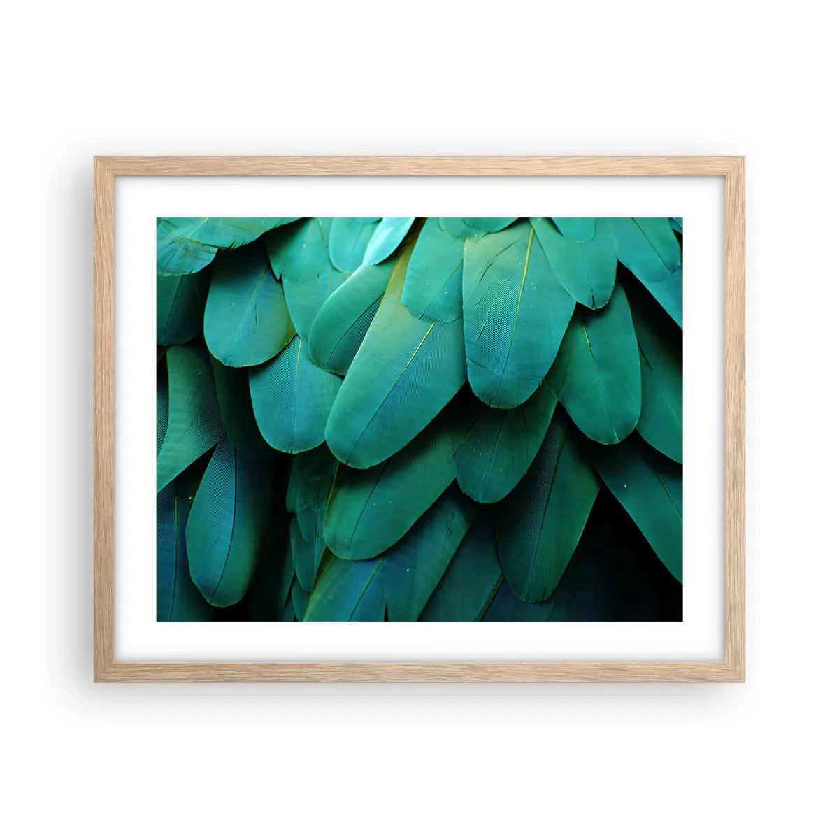 Plakat i ramme af lyst egetræ - Papegøjenaturens præcision - 50x40 cm