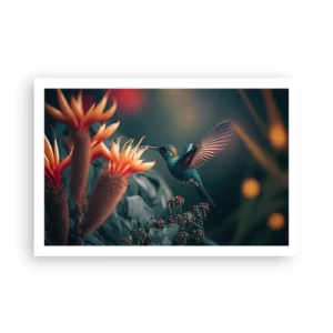 Plakat - Et virkelig farverigt liv - 91x61 cm