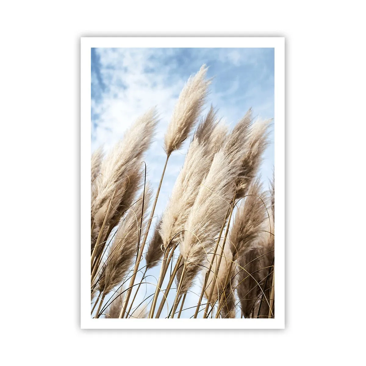 Plakat - Solrig og blæsende kærtegn - 70x100 cm