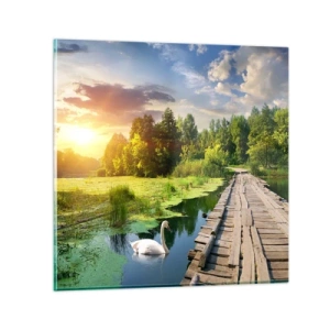 Billede på glas - Sommer, sommer overalt - 40x40 cm