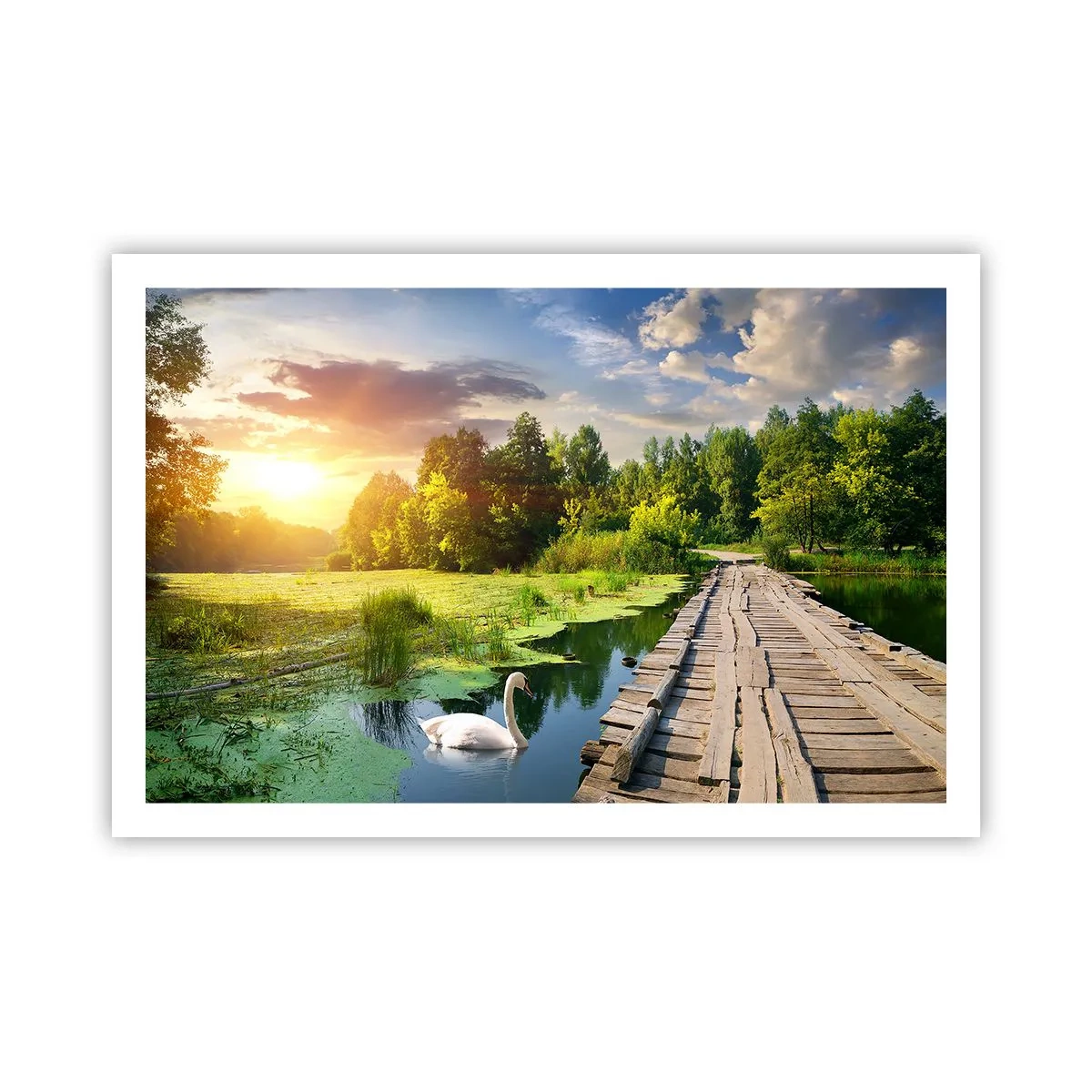 Plakat - Sommer, sommer overalt - 91x61 cm