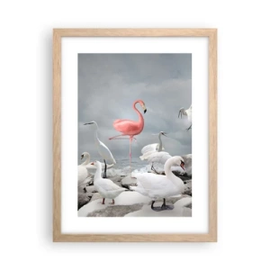Plakat i ramme af lyst egetræ - Hvor kommer jeg fra? - 30x40 cm