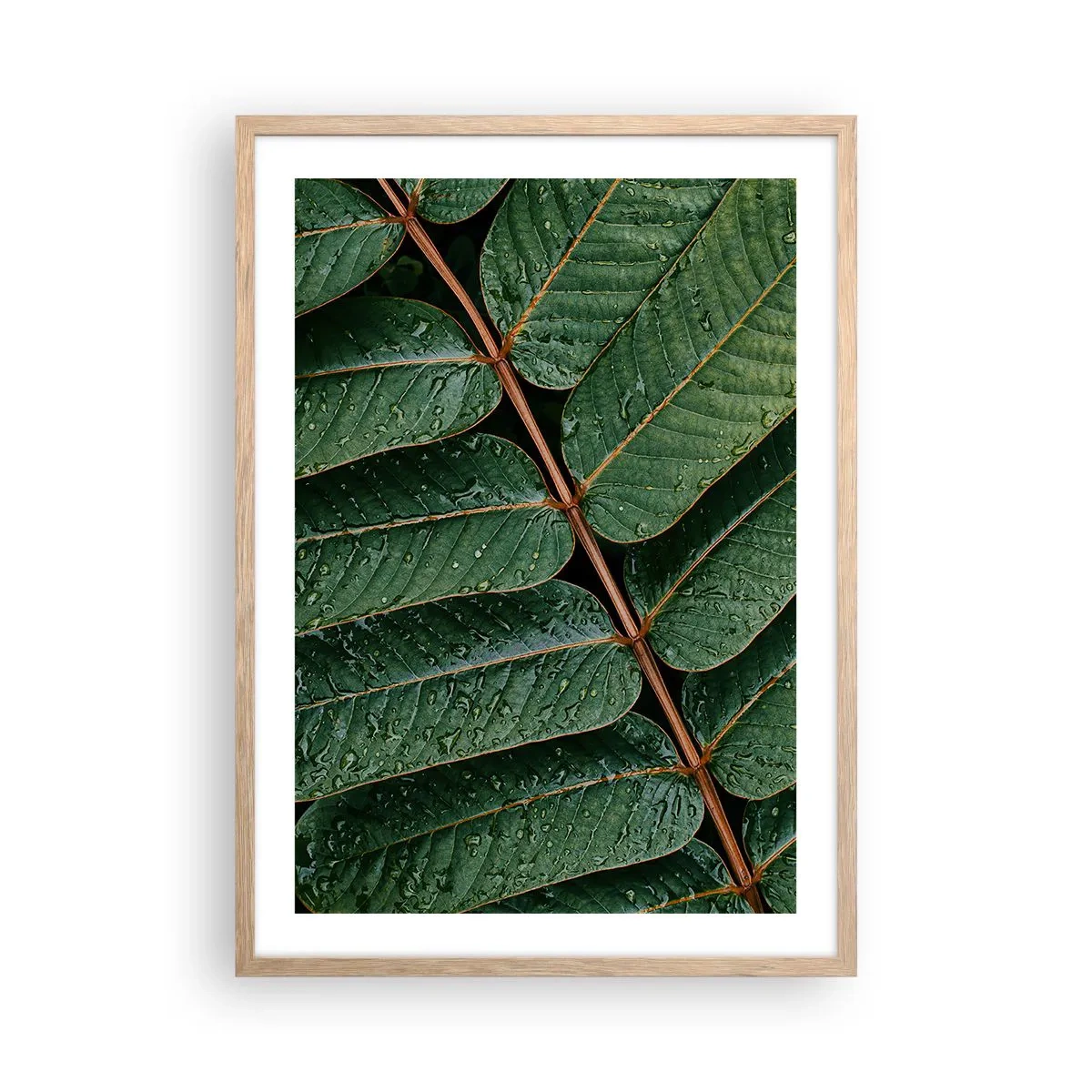 Plakat i ramme af lyst egetræ - I en grøn rytme - 50x70 cm