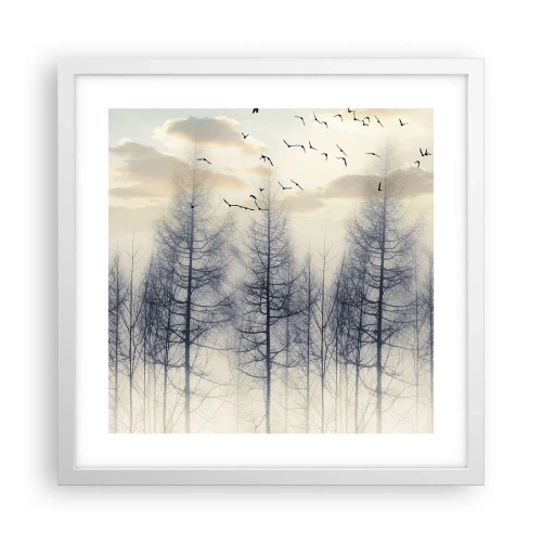 Plakat i hvid ramme - Skovånder - 40x40 cm