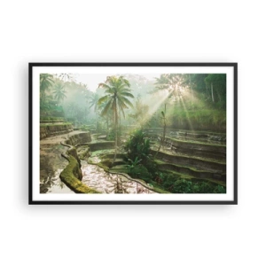 Plakat i sort ramme - Voksende op i solen - 91x61 cm