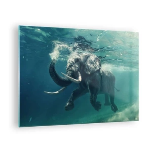 Billede på glas - En elefant, der svømmer under vandet i det blå hav - 70x50cm - Alle kan lide at svømme - Moderne vægdekoration til stue og soveværelse ARTTOR