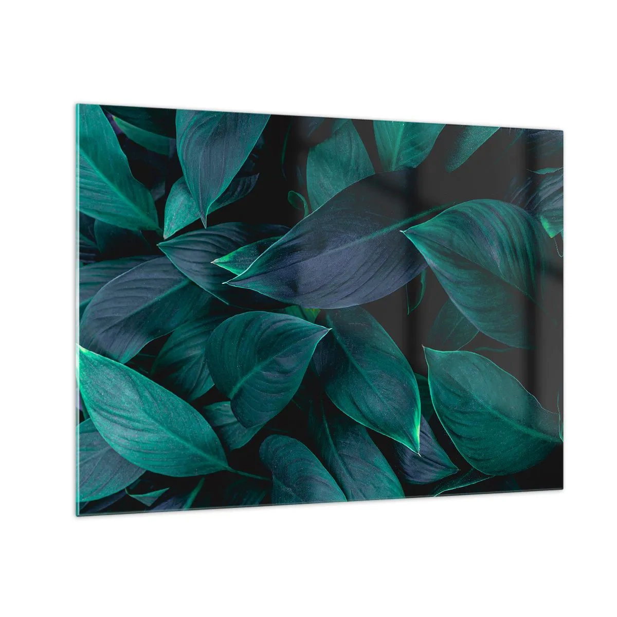 Billede på glas - Tætte grønne blade på en mørk baggrund - 70x50cm - Grønt i sig selv - Moderne vægdekoration til stue og soveværelse ARTTOR