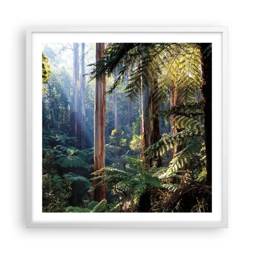 Plakat i hvid ramme - En fortælling om skoven - 60x60 cm