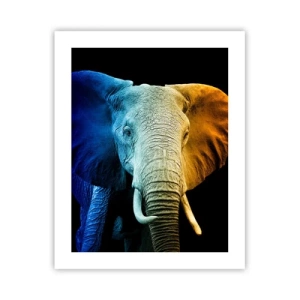 Plakat - Excentrisk, ikke underlig - 40x50 cm