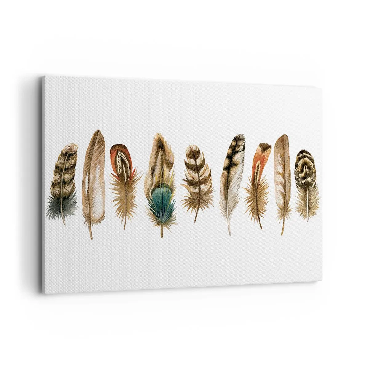 Lærredstryk - Billede på lærred - Variation med fjer - 100x70 cm