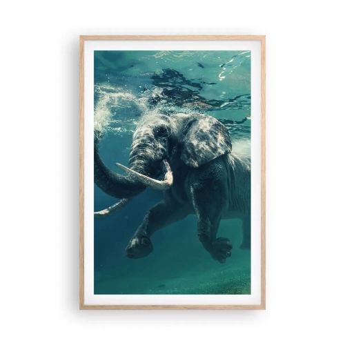 Plakat i ramme af lyst egetræ - Alle kan lide at svømme - 61x91 cm