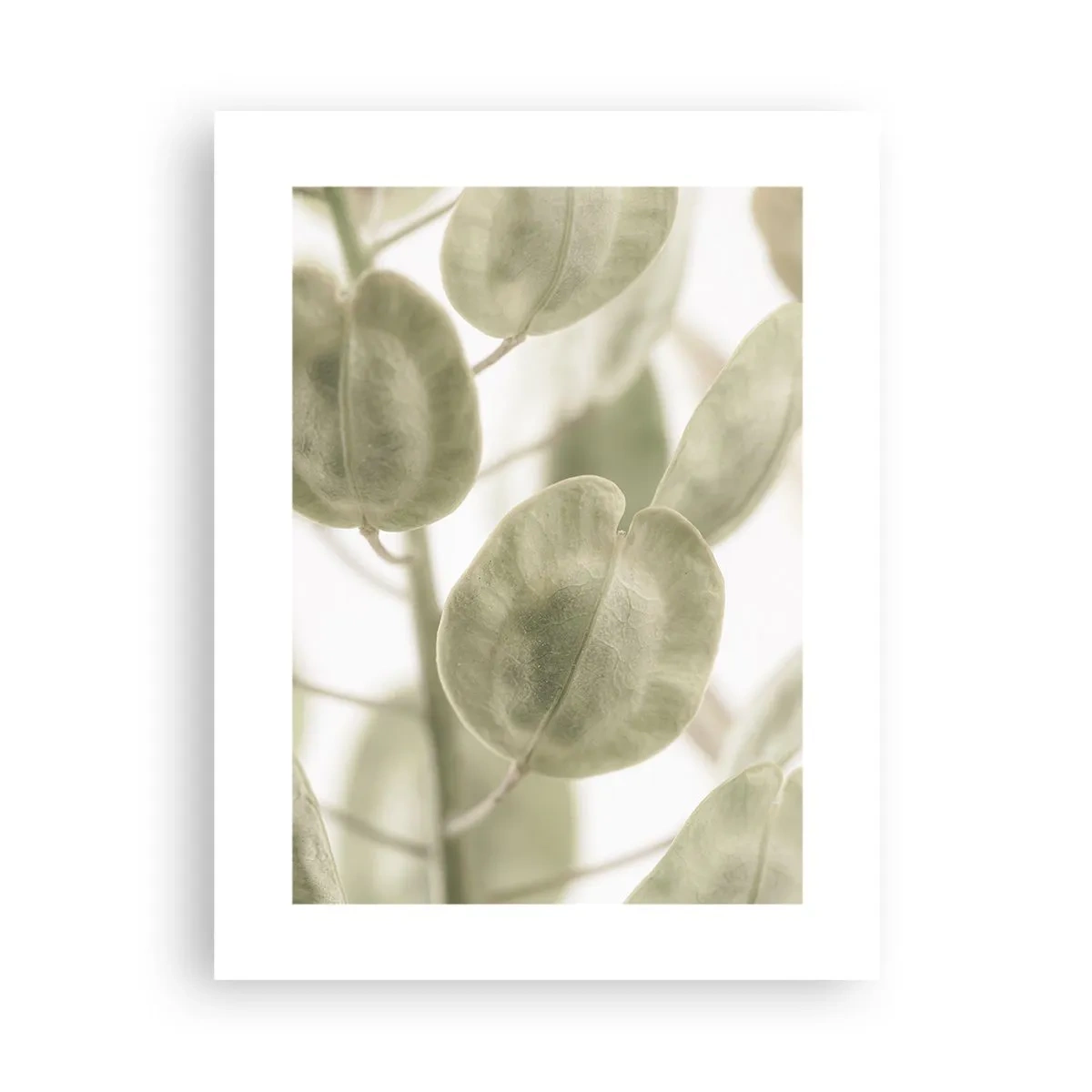 Plakat - I begyndelsen var der blade... - 30x40 cm