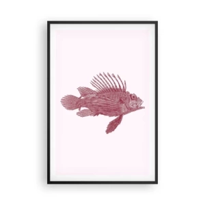 Plakat i sort ramme - En beboer i eksotiske farvande - 61x91 cm