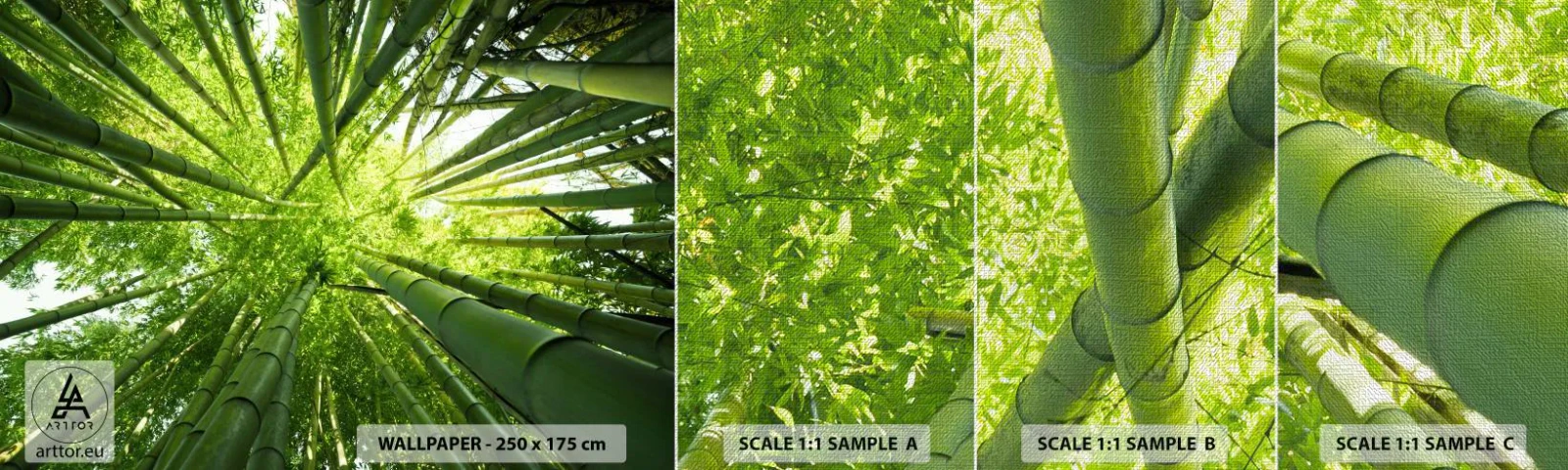 Prøve Fototapet Premium Canvas - I en bambuslund - Bambus Skov, Jungle, Bambus - 100x30 cm
