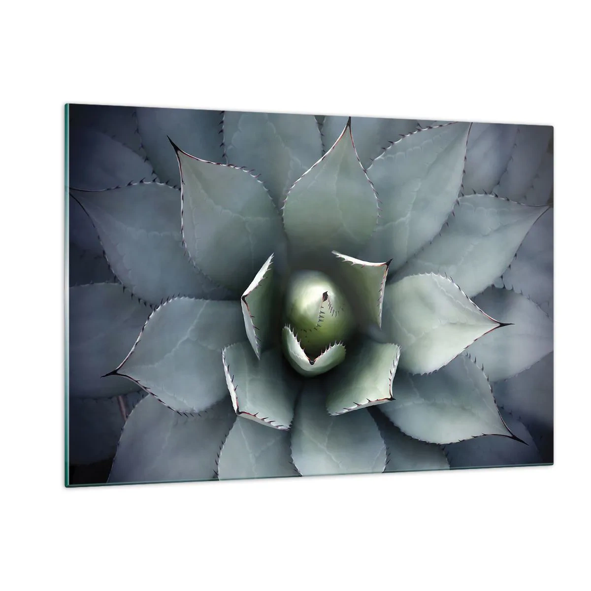 Billede på glas - Lokkemad og advarsler - 120x80 cm